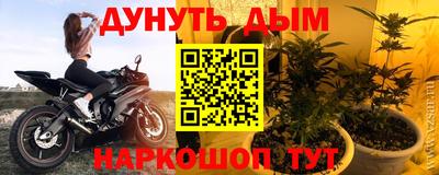 крисы Ирбит
