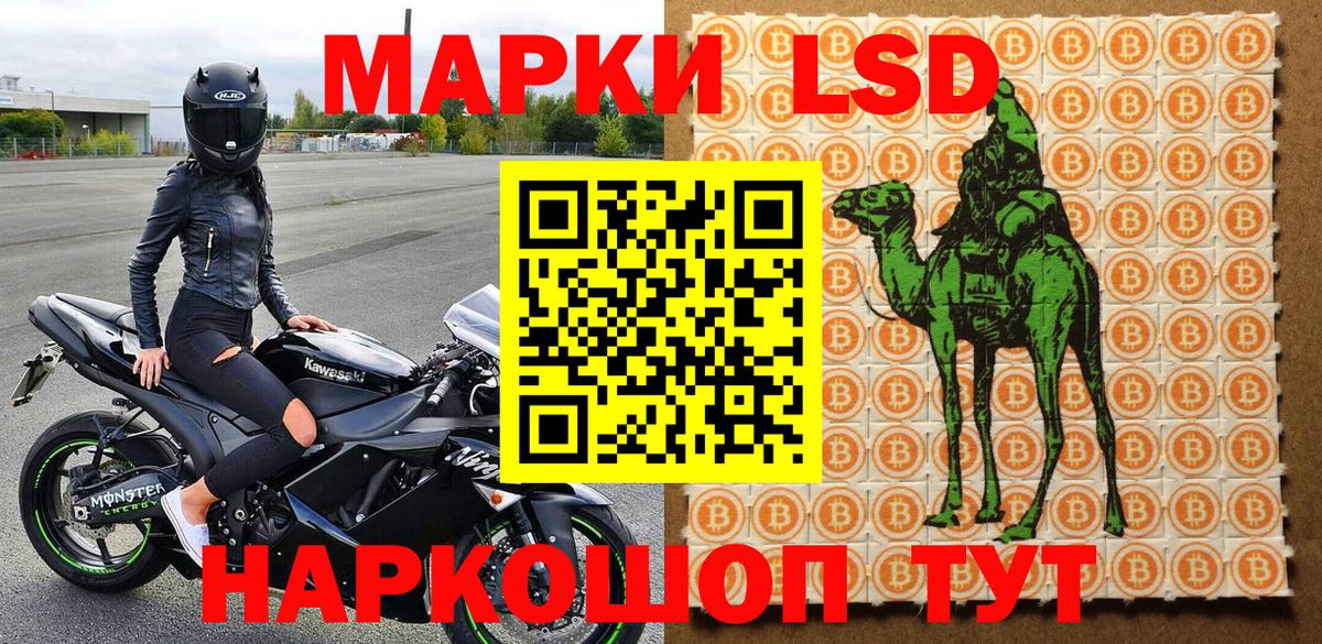 Лесной  Марки 25I-NBOMe 1,8мг  Вход с VPN  Марки N-bome  Марки 25I-NBOMe 1,8мг 